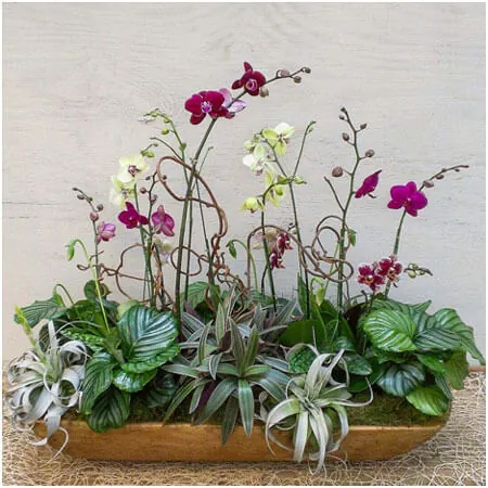 Image Credit: http://oakstreetgardenshop.com/arrangements/