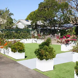 cube planters