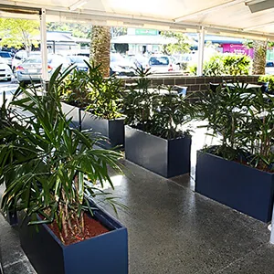 Maximizing Landscape Appeal: The Benefits of Fiberglass Trough Planters