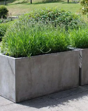 trough-planters