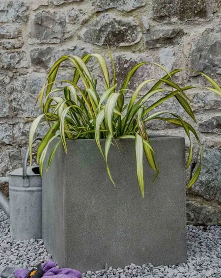 Florence-Lightweight-Concrete-Cube-Planter-C