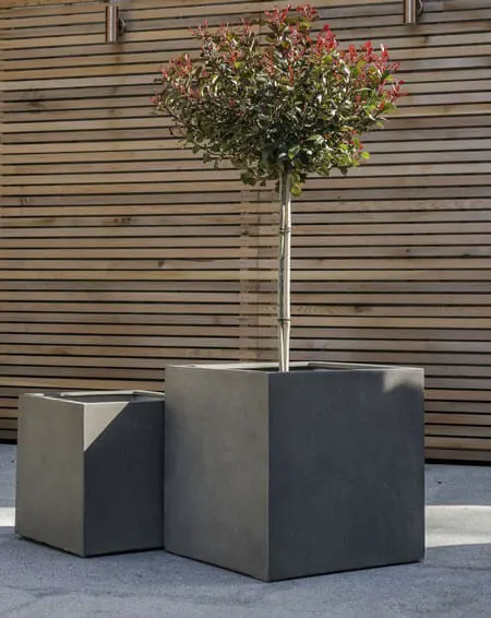 Designing with Cube Pots and Planters