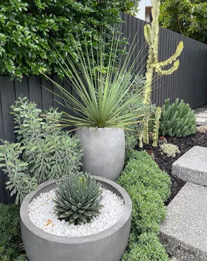 Florence Pots and Planters