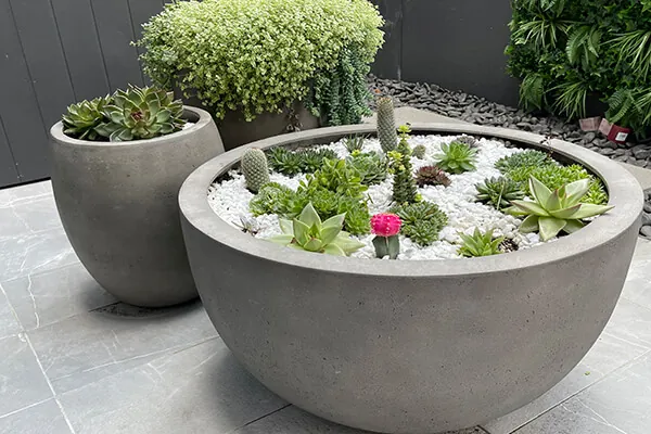 Improving your Outdoor Space with Round Garden Pots