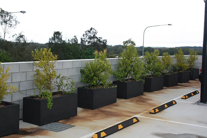 IOTA Moscow Planters in a Carpark