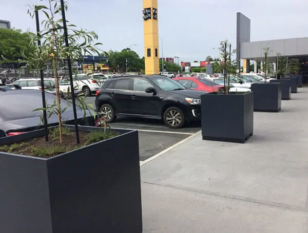 Rosny Park Cube Planters