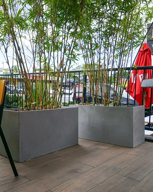 Amanda Scott OASJ utilizes Milano Extra-Large Outdoor Planter Pots