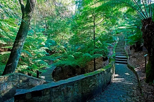 Australian Botanic Garden