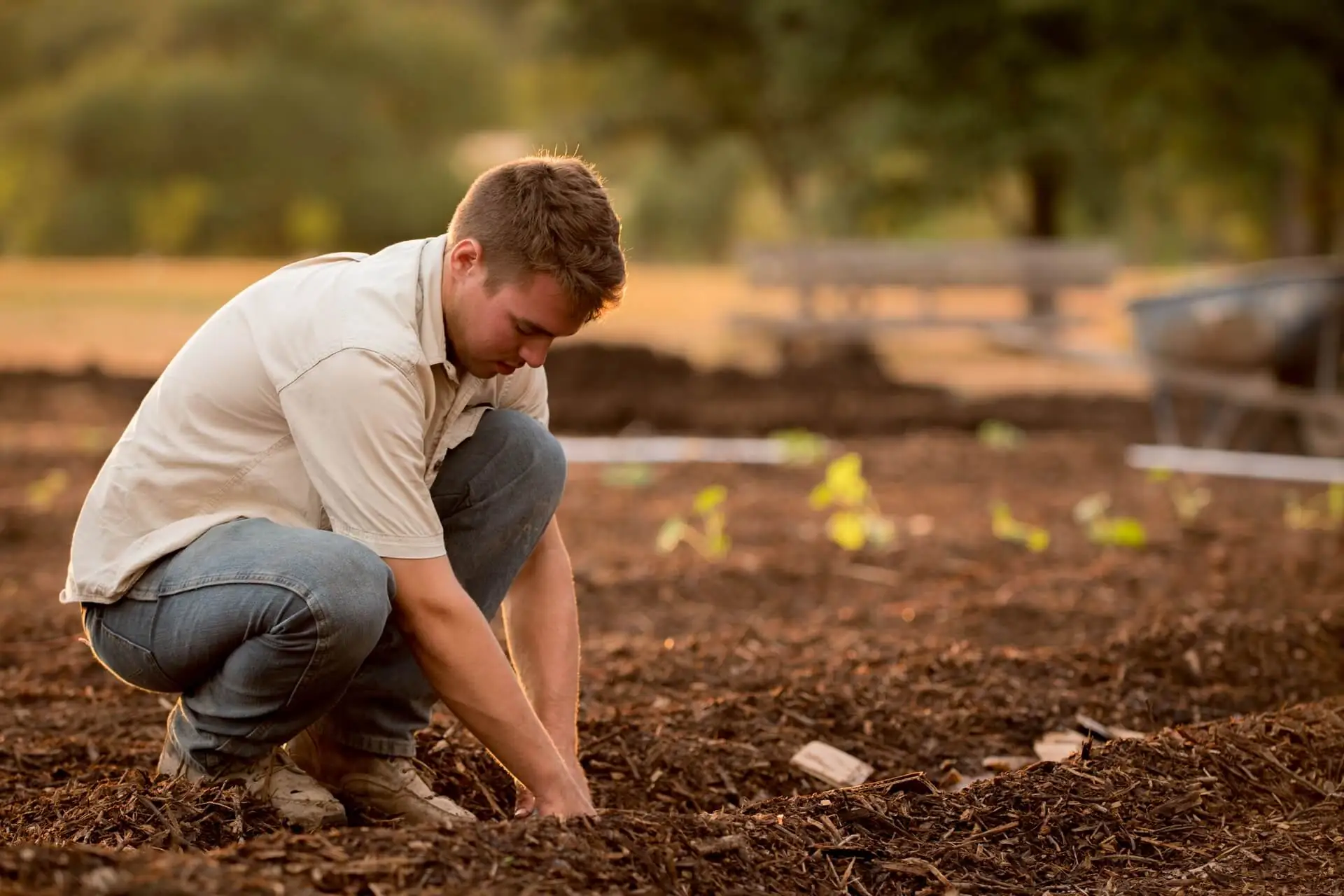 What is Sustainable Landscaping?