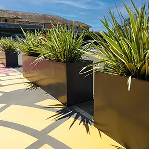 Large Fiberglass Planters in School Parking Lot