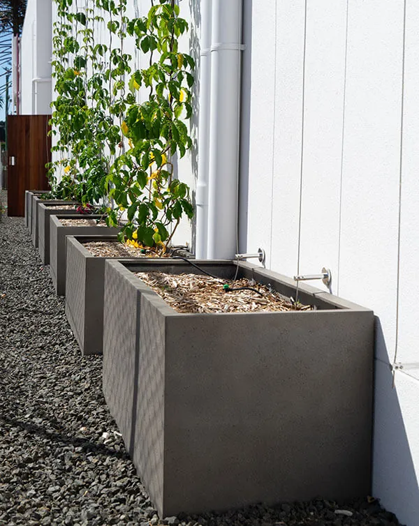 Lightweight Florence Rectangular Planters in gravel