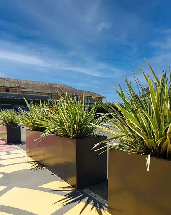 Large Manhattan Fiberglass Planters for Outside Parking Area