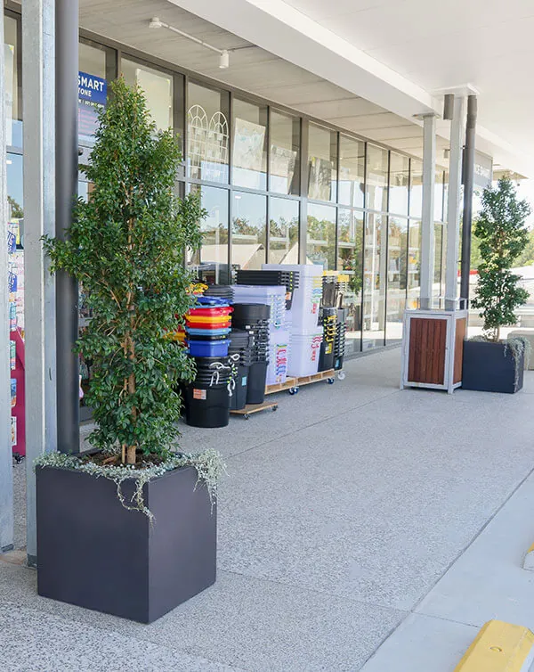 Small tree planted on an Outdoor Moscow Concrete Cube Planter