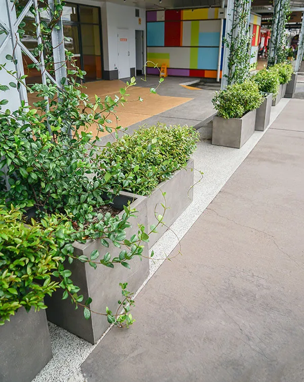 Rectangular Revelry: Designing with Rectangular Planters