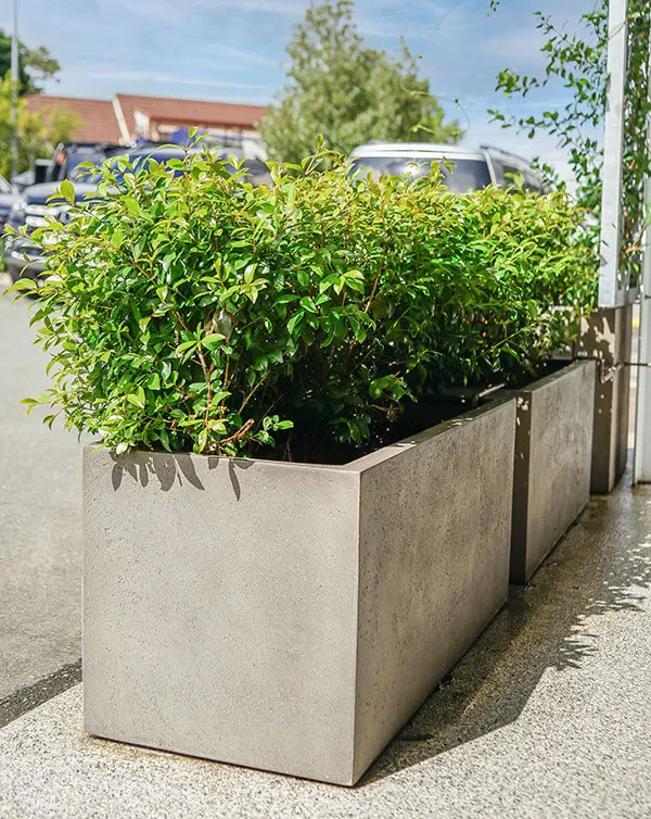 Gardening with Extra Large Pots