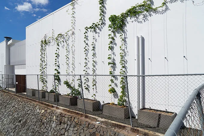 Florence lightweight concrete planters at Rode CNTR