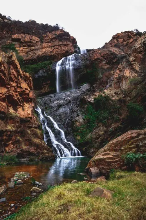 Majestic Walter Sisulu National Garden