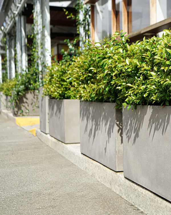 Florence Lightweight Concrete Trough Planters - Image 9