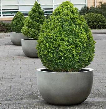 rectangular planter