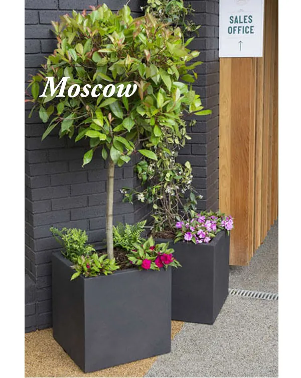 Square and Cube Planters - Image 12