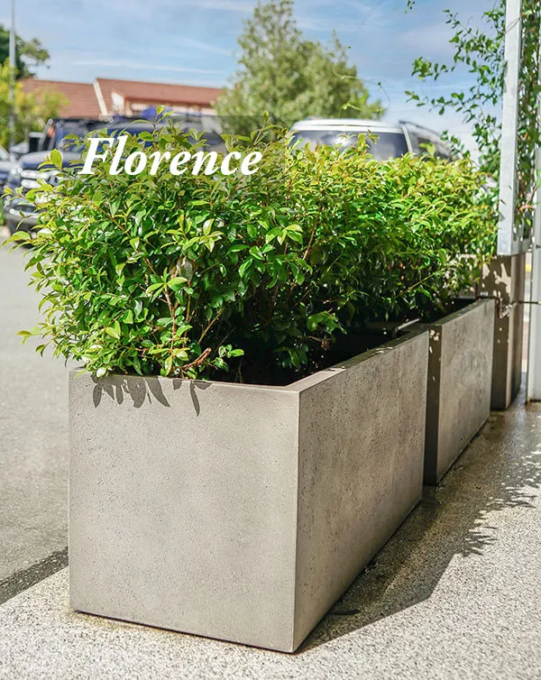 Trough Planter Box - Image 6