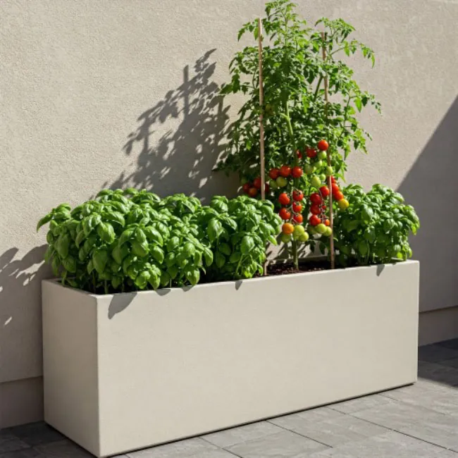 tomatoes-basil-companion-planting