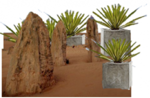 Australia's Limestone Pinnacles and Outdoor Planters