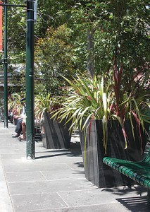 Planter plants in public spaces