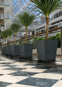 Granite Planter in Airport Terminal