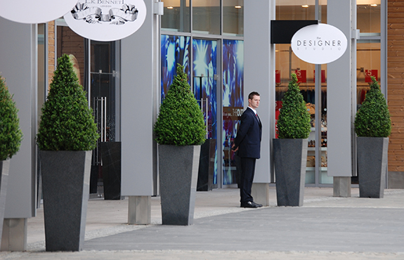 Tree Pots Lining Shopping Mall