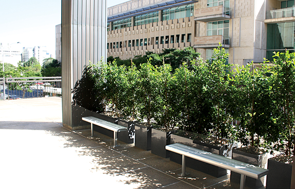 Pots In Brisbane For Oudoor Planting - outdoor granite planters