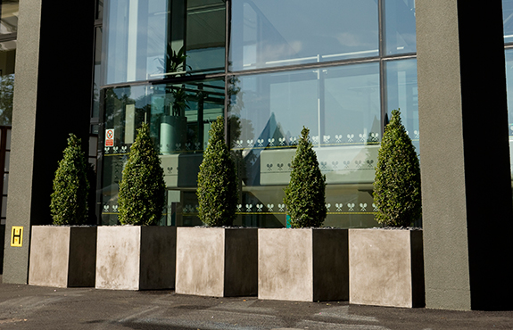 Pots & Planters Wimbledon