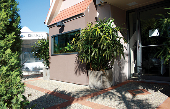 Pot Planters For Restaurants