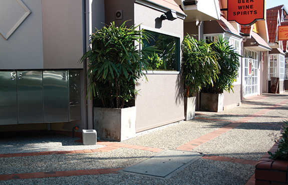 Containers and Pots For Restaurant Plantscaping