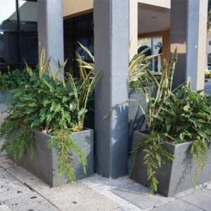 Granite trough planters