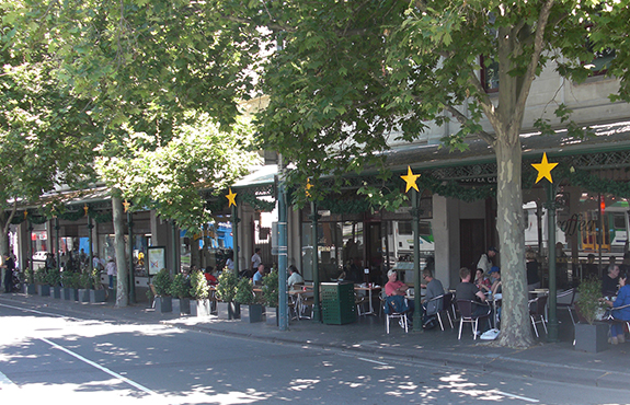 Large Plant Pots in Melbourne