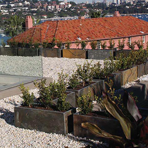 Rooftop Garden Design with Trough Planter Boxes