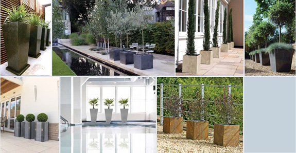 various planters in a line