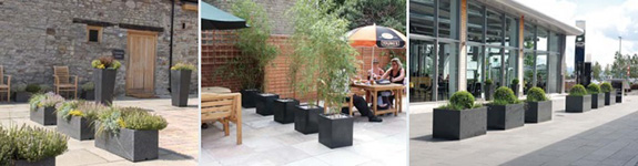 various planters dividing spaces