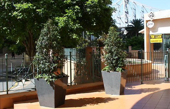 Outdoor Containers Perfect For Brisbane Landscape