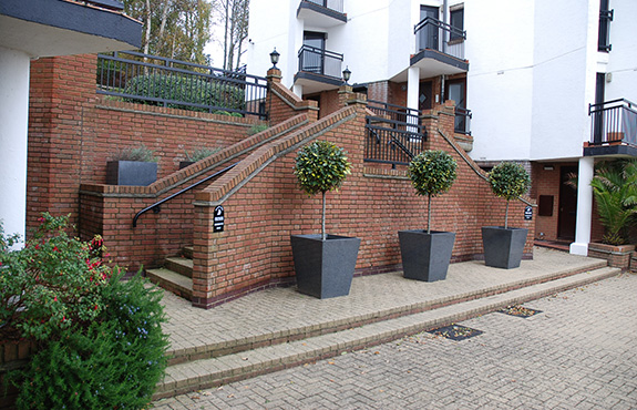 Cube 600 granite stone planter with Hebe planting