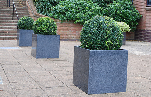 Cube 600 planters with Buxus planting, defining the visual centre line of the terrace 