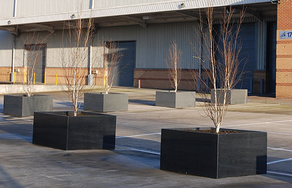 The custom planters are suitable for trees, shown here with Betula utilis Jacquemontii