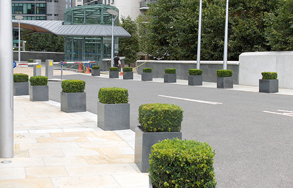 Comprehensive view of granite cube planters