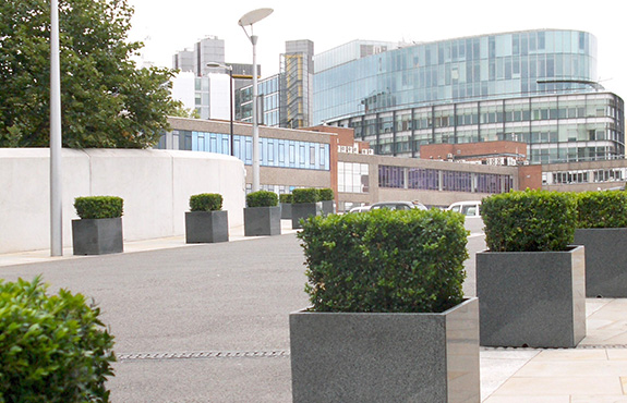 Granite planters and paddington central skyline