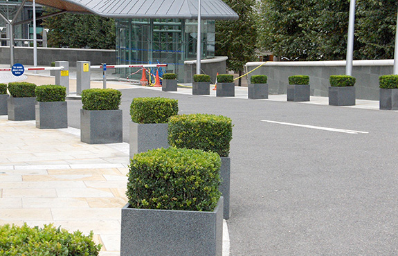 Granite large cube planters and gate