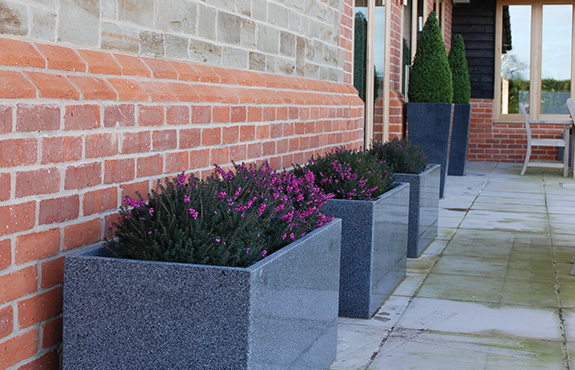 Granite Taper 1100 planter with Buxus topiary