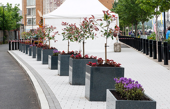 lines of granite cube planters in derry park