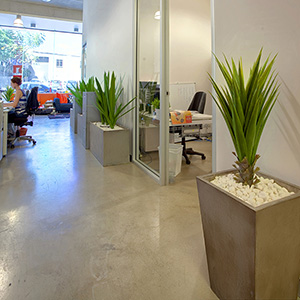 newstead-office-venice-planters-300x300-lightweight-concrete-planters