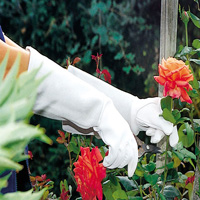 rose-pro-garden-gloves-for-pruning-200